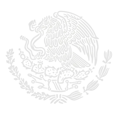 programaafiliados.com.mx watermark